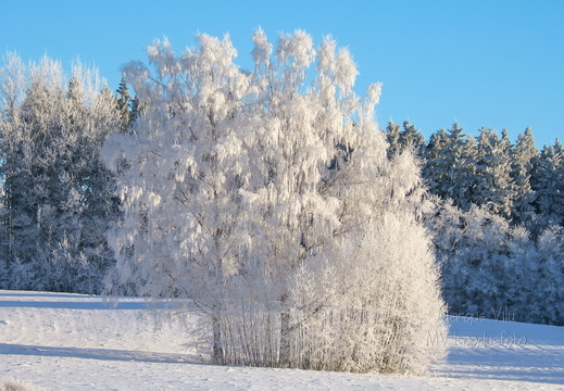 Külmataadi kätetöö