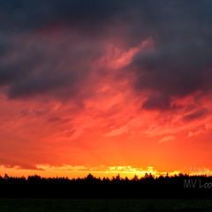 Tumedate pilvedega veripunane taevas