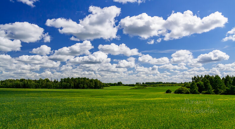  Pilvetupsudega roheline maastik