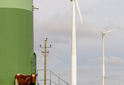  Lehm rohelist energiat toetamas