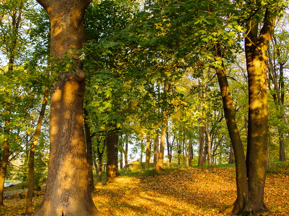  Salajane peidupaik Kadrioru pargis