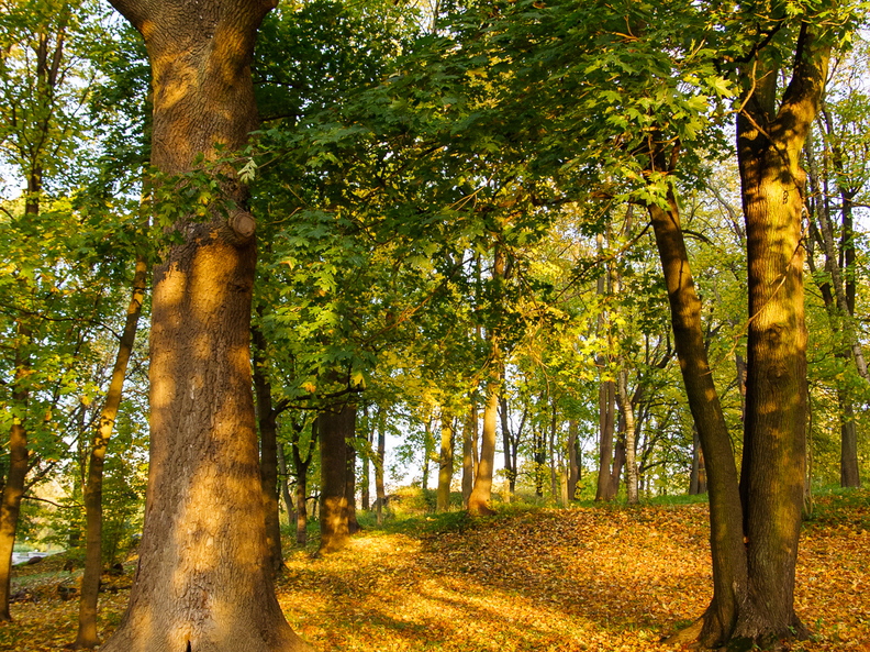  Salajane peidupaik Kadrioru pargis
