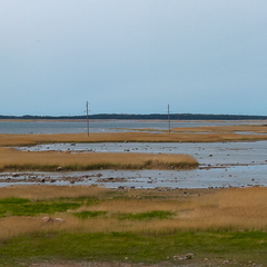 Vaade Saaremaalt Vilsandile