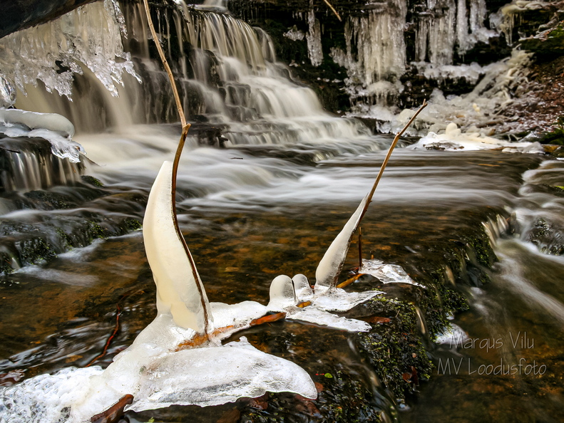 Vasaristi joastiku jääst kaunistused