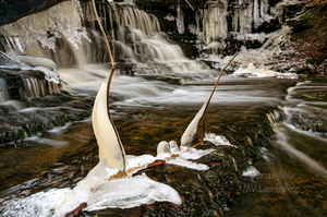 Vasaristi joastiku jääst kaunistused