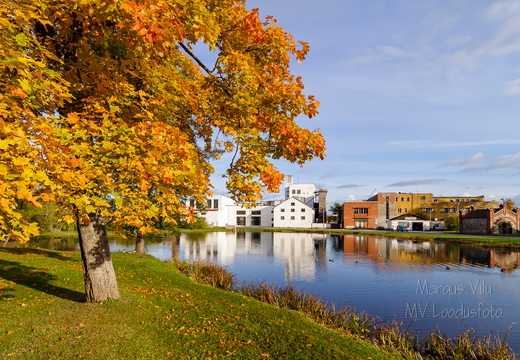  Rakvere rahvaaia tiik, taamal piiritusetehas
