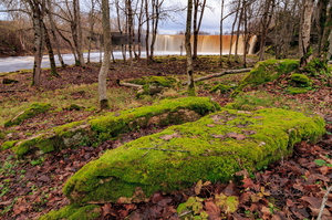 Jägala juga ja sammaldunud kivid