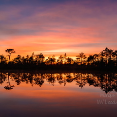   Päikeseloojang rabas