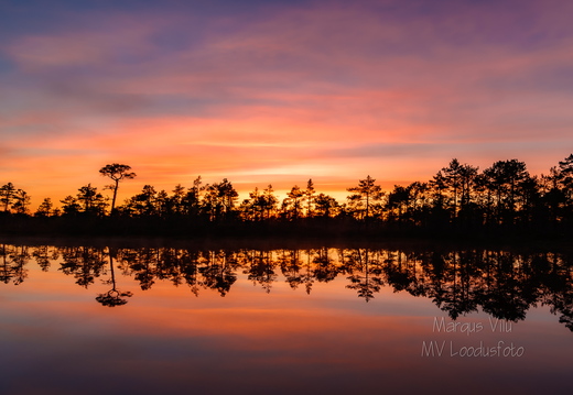   Päikeseloojang rabas