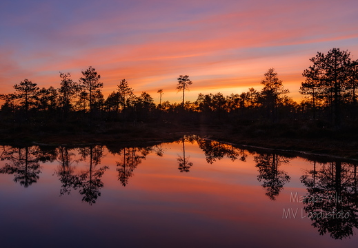  Päikeseloojang rabas