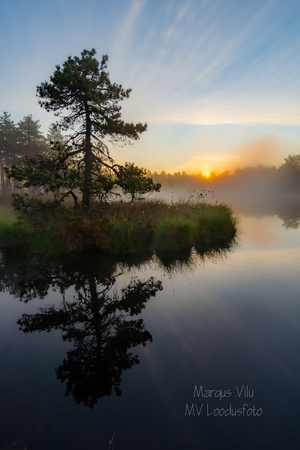    Päikesetõus uduse raba lauka juures