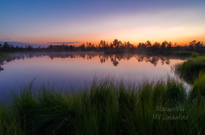  Laugas või väike rabajärv?