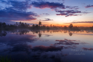  Tulemas on ilus päev