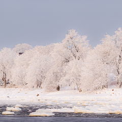 Merivälja rand kaunis härmatises