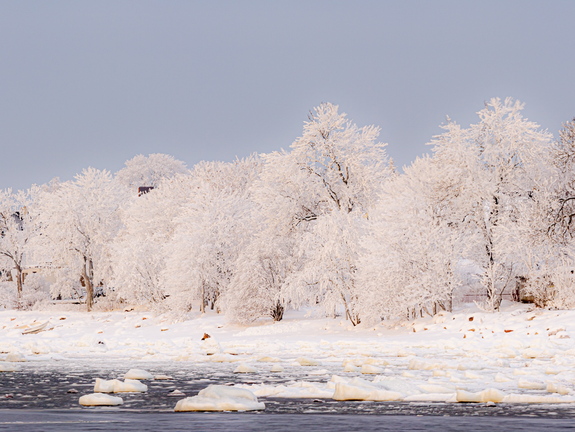 Merivälja rand kaunis härmatises