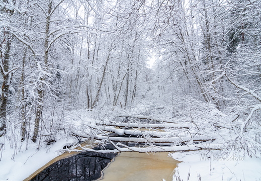 Lumised sillad üle jõe