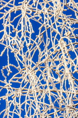 Härmas kaskeokste muster