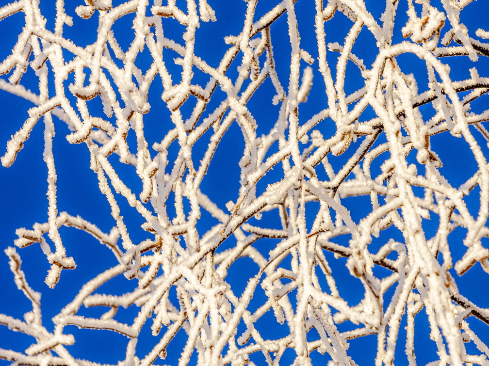 Härmas kaskeokste muster