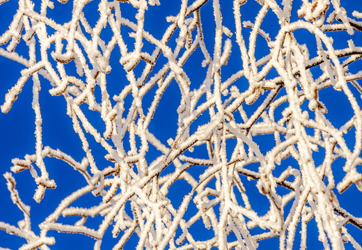 Härmas kaskeokste muster