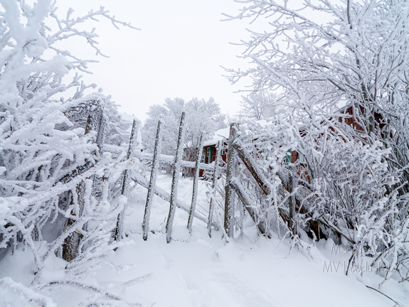 Vana ja härmas värv