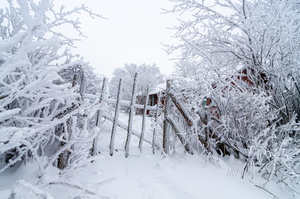 Vana ja härmas värv
