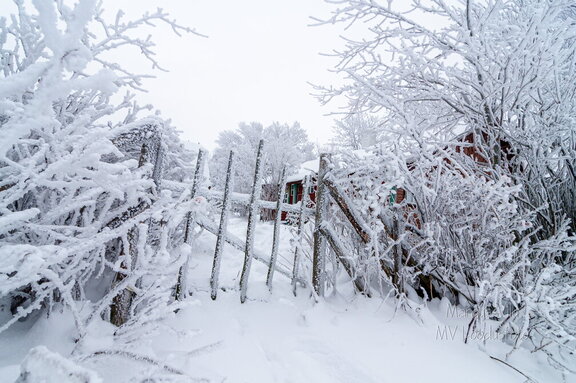 Vana ja härmas värv