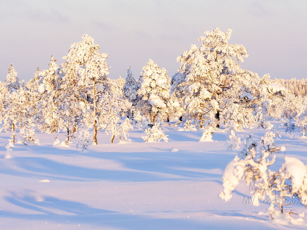 Lumest täitsa lookas