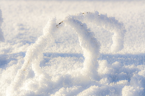 Härmast lookas kõrs