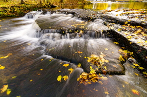  Joaveski joastik sügisel